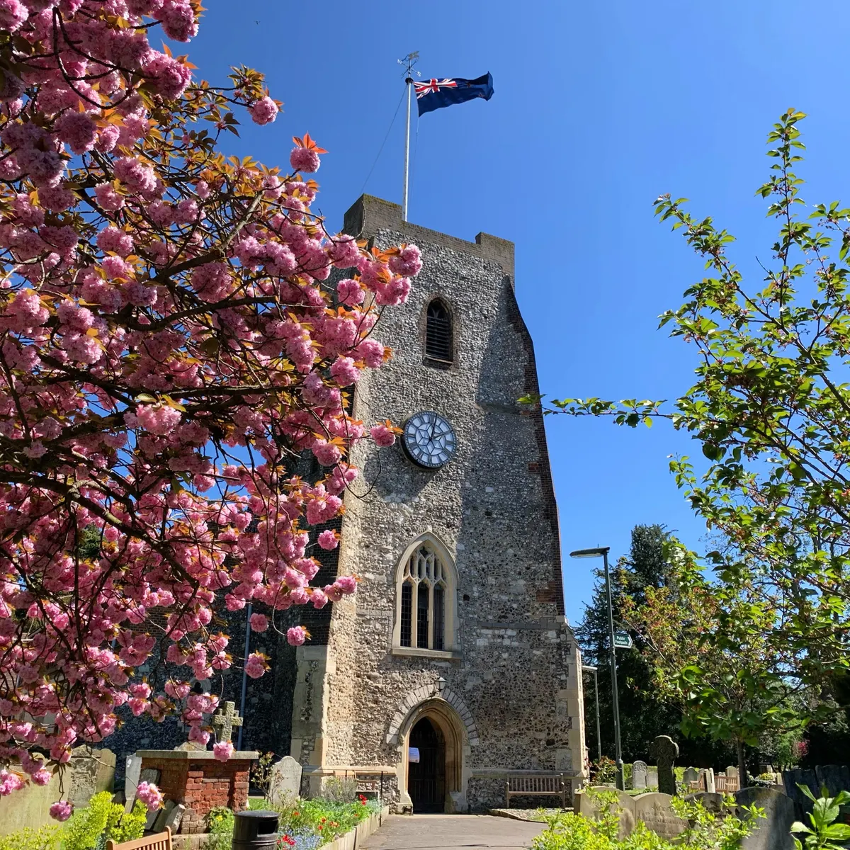 The New Zealand flag flying above St Mary's Church, Walton-on-Thames, framed by spring blossom
